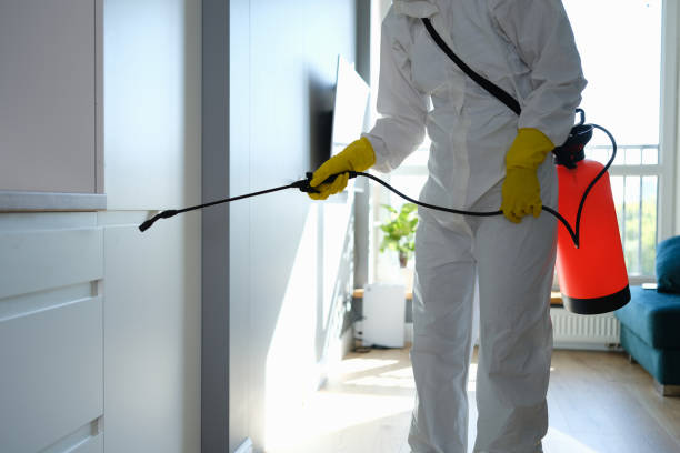 Best Attic Mold Removal  in Van Buren, MO