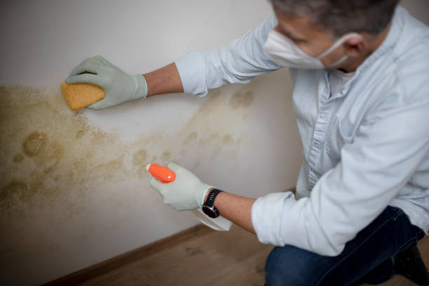 Water Damage Restoration in Van Buren, MO