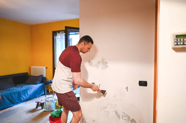 Best Home Mold Removal  in Van Buren, MO